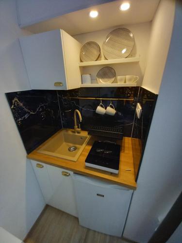 Kuchyň nebo kuchyňský kout v ubytování Barko rooms