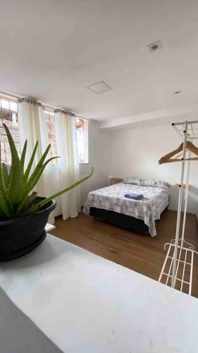 una camera con un letto e una pianta su un bancone di Apartamento Rua Direita a Salvador