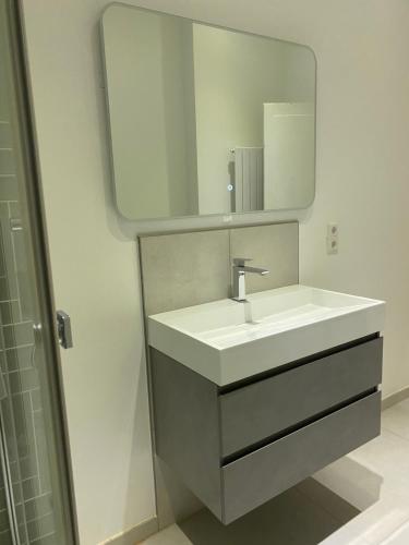 a bathroom with a white sink and a mirror at Schöne Wohnung in charmanter Stadtvilla Messenähe in Hannover