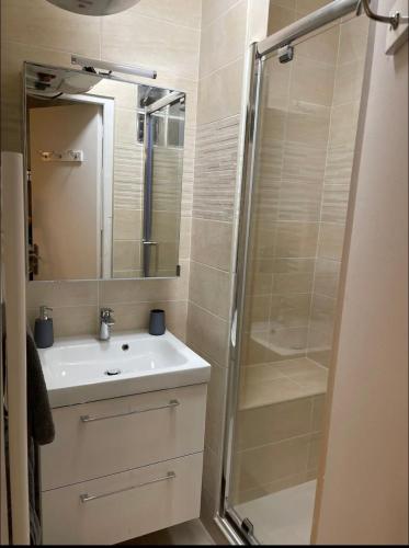 une salle de bain avec un lavabo et une douche dans l'établissement Eiffel Tour - Cosy Parisien, à Paris