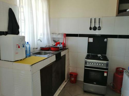 Kuchyň nebo kuchyňský kout v ubytování Klimax Place