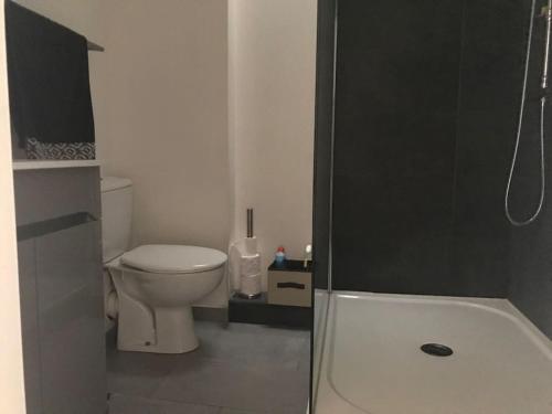 une petite salle de bain avec toilettes et douche dans l'établissement Appartement avec terrasse centre de la Bastide, à Carcassonne