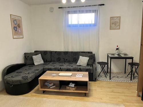 a living room with a black couch and a table at Nanny in Novi Sad