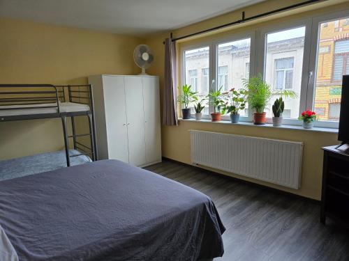 a bedroom with a bed and windows with potted plants at Right Choice Studio in Antwerp