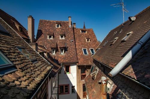 L'Or - Typical Alsacian apartment in Strasbourg