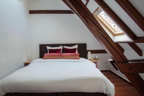 L'Or - Typical Alsacian apartment in Strasbourg