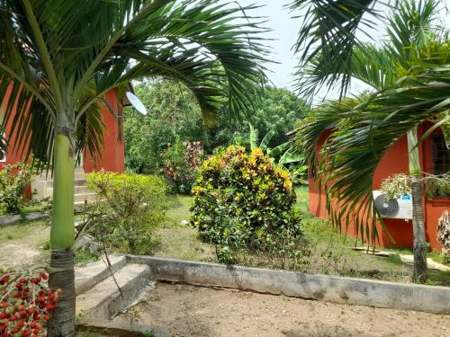 a garden with a palm tree in front of a house at Paradise Ocean Resort in Cape Coast