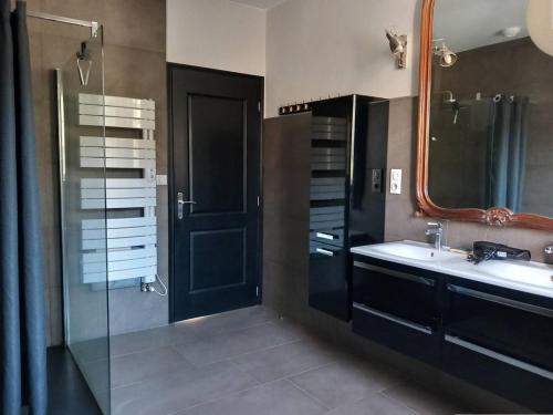 a bathroom with a shower and a sink and a mirror at Maison Mendionde, 5 pièces, 8 personnes - FR-1-495-104 in Mendionde