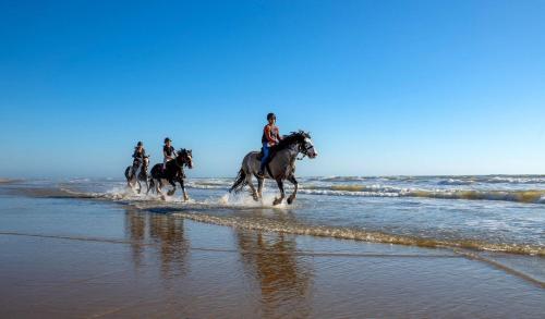 a group of people riding horses on the beach at Camping Atlantic Club Montalivet - Roan in Vendays-Montalivet