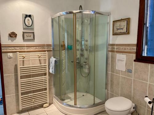 a bathroom with a shower and a toilet at B&B Maison Brora in Lorgues