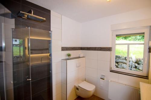 a bathroom with a toilet and a window at Ferienhof Verse Ferienwohnung Kornkammer in Lennestadt