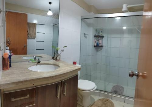 a bathroom with a sink and a toilet and a shower at Apartamento Céntrico 2 Dormitorios in Santa Cruz de la Sierra
