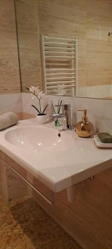 a bathroom sink with a vase of flowers on it at Habitaciones De Lujo Con Hermosas Vistas A La Cuidad in Burgos