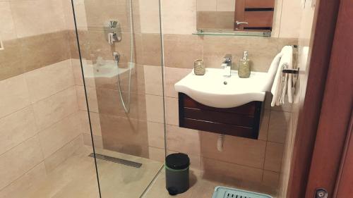 a bathroom with a sink and a glass shower at Apartments Nancy in Kotor