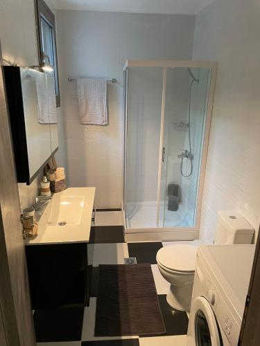 a bathroom with a shower and a toilet and a sink at Villa Buddha in Syvota