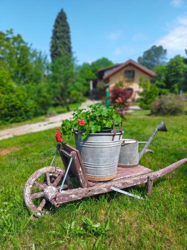 an old wheelbarrow with a pot of flowers on it at il Bosco in Roccaforte Mondovì