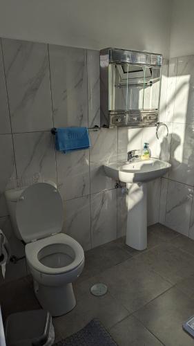 a bathroom with a toilet and a sink at Banana Tree House in Ponta do Sol
