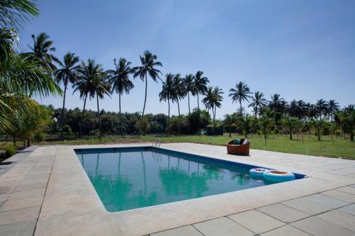 una piscina con palmeras en el fondo en Golden Triangle, en Hampāpura