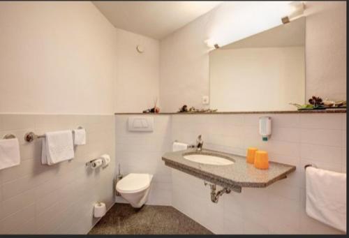 a bathroom with a sink and a toilet and a mirror at Work Life Residence by Frauenfeld in Frauenfeld