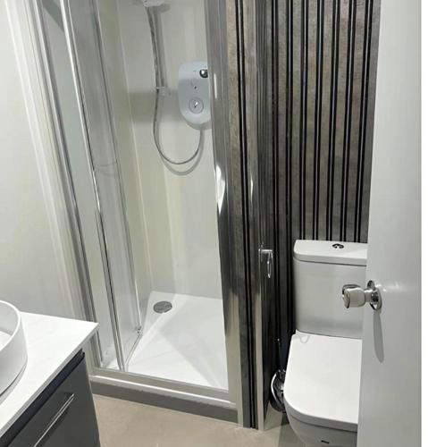 a bathroom with a shower and a toilet and a sink at OYO Stay Inn Elmbank Terrace in Aberdeen