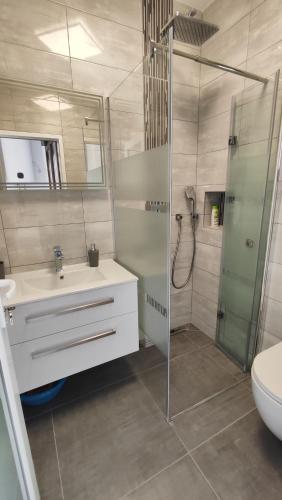 a bathroom with a shower and a sink and a toilet at Viktor rooms and apartments 2 in Rovinj