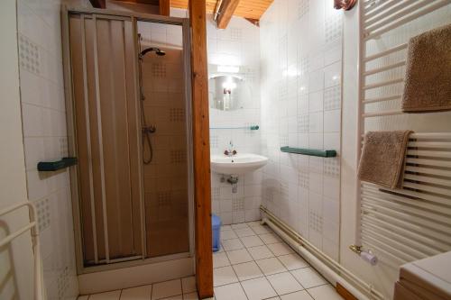 un baño con ducha y lavabo en Le Refuge des Merelles. (accepte les animaux), en Lapoutroie