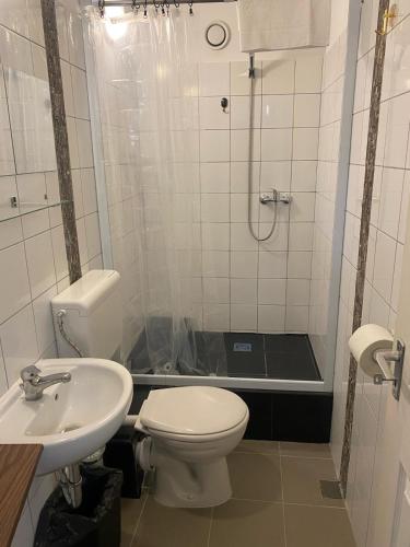 a bathroom with a toilet and a shower and a sink at Allaga City Center in Budapest