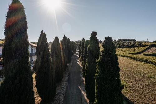 Tenuta Querce Grosse – Photos 3