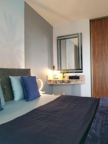 a bedroom with a bed with blue pillows and a mirror at Studio independant Non Fumeur 38m2 calme, confort in Béziers