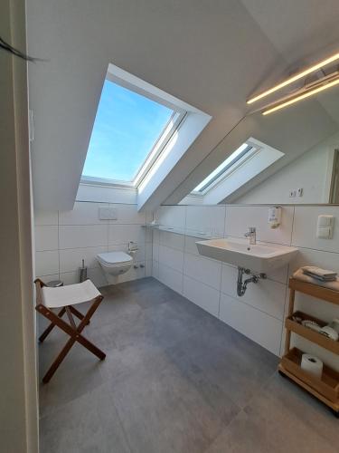 een badkamer met een toilet, een wastafel en een dakraam bij Schloss Schlemmin in Schlemmin