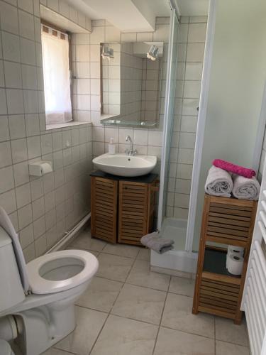 une salle de bain avec toilettes et lavabo dans l'établissement La petite échappée, à Gérardmer