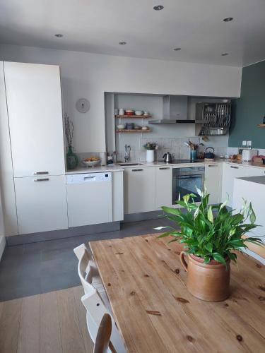 une cuisine avec des placards blancs et une table en bois avec une plante dans l'établissement À 15 minutes de Paris, bel appartement au calme, à Colombes