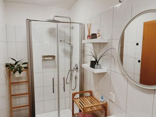 ein Bad mit einer Dusche und einem Spiegel in der Unterkunft Ruhige Wohnung mit Terrasse in Telgte