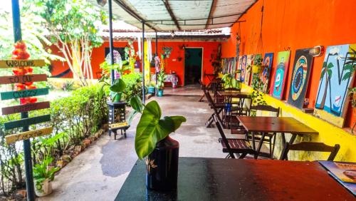 Fotografie z fotogalerie ubytování Proxima Estacion Hostel v destinaci Maceió