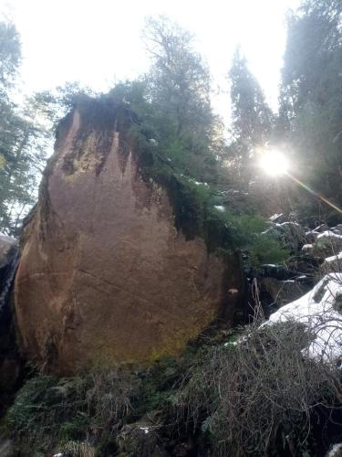 a large rock with grass on top of it at Anand -Giri Retreat in Nagar