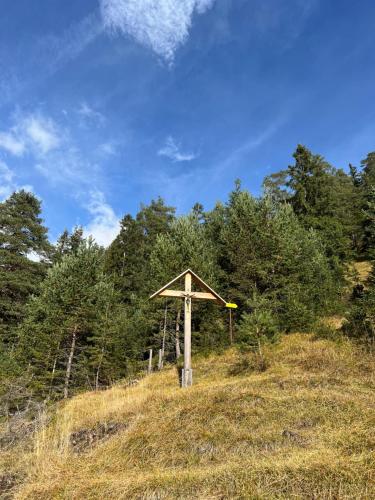 a wooden structure on top of a hill with trees at Cityapartments Reutte in Reutte