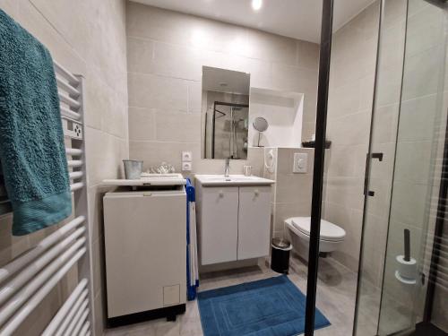 a bathroom with a sink and a toilet and a mirror at Magnifique logement d'architecte 3* sur Palavas in Palavas-les-Flots