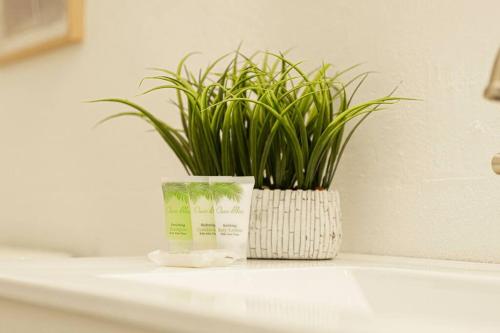 a potted plant sitting on top of a bathroom sink at Trocean View, Amazing Ocean View in Rio Grande
