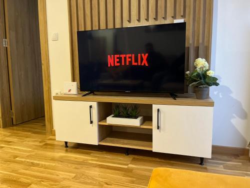 a television on a tv stand in a living room at Apartman i spa Marko Zlatibor in Zlatibor