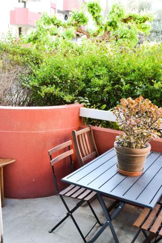 une table bleue avec une plante en pot sur un patio dans l'établissement Le Camarguais - TERRASSE ET PARKING, à Montpellier