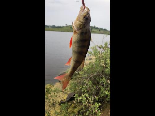 Photo de la galerie de l'établissement Teasy's cottage, à Armagh