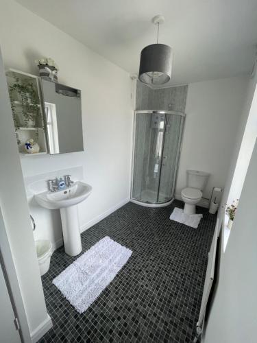 a bathroom with a shower and a sink and a toilet at Teasy's cottage in Armagh
