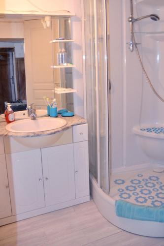 Salle de bains dans l'établissement Les Agapanthes