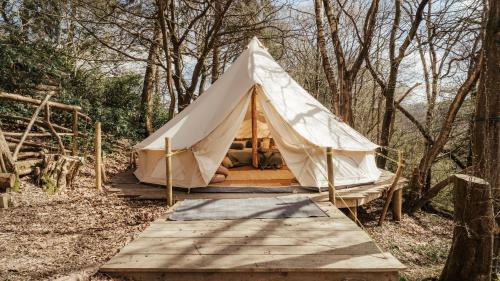 a white tent in the middle of a forest at Cuddfan Bach (The Little Hideaway) at Camp Plas in Welshpool