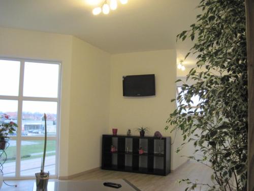 TV a/nebo společenská místnost v ubytování Hôtel Des Bois
