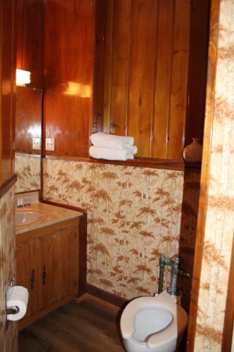 a bathroom with a toilet and a sink at Historical Hotel - House of Ludington in Escanaba