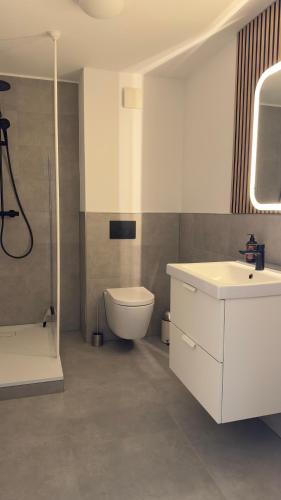 uma casa de banho com um WC, um lavatório e um chuveiro em Ferienwohnung Sonitschka em Lörrach