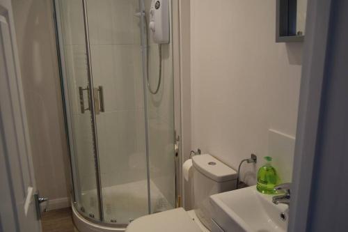 a bathroom with a shower and a toilet and a sink at Lovely Garden Cottage in Snettisham in Snettisham