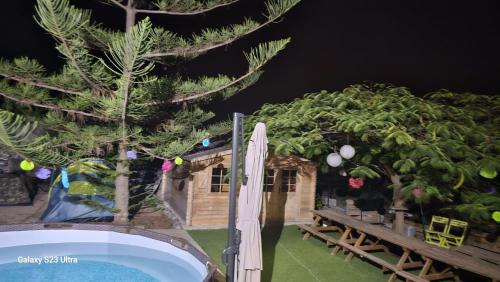 un patio trasero con piscina, un árbol y una casa en CASA DE LA PRADERA en Arucas