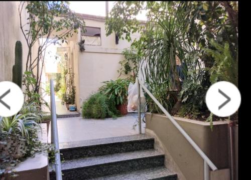a set of stairs leading to a courtyard with plants at Camino de tango tu lugar soñado in Buenos Aires